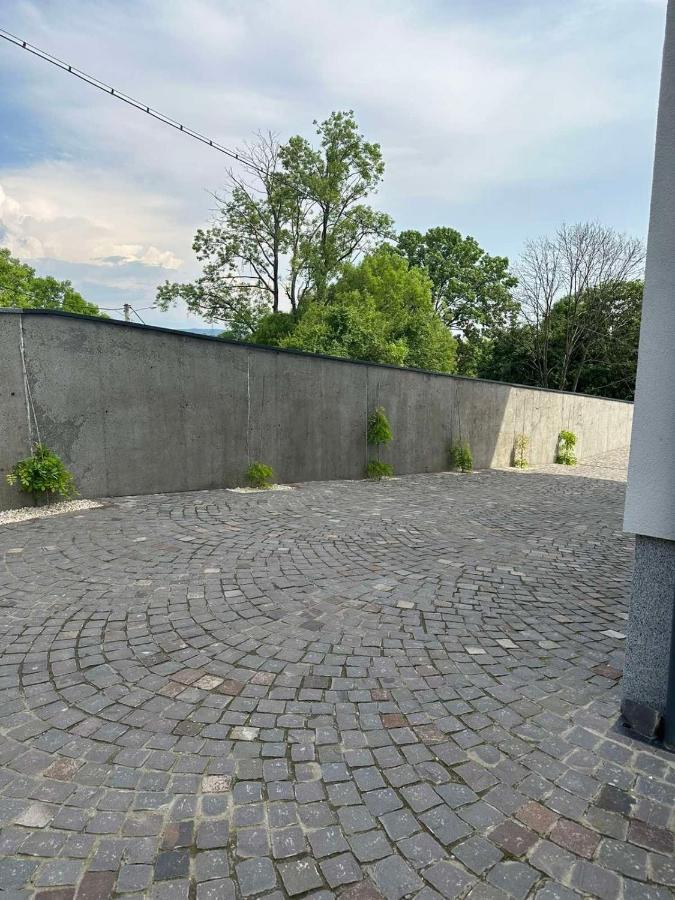 Панорамні Апартаменти Uzhhorod Bagian luar foto